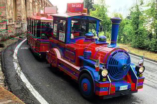 Bologna City Red Bus and San Luca Express: 2-Days Pass