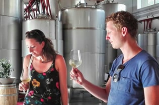 Wine Tasting in Alcamo, Sicily