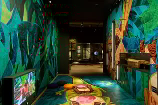 World Museum Rotterdam: Entry Ticket