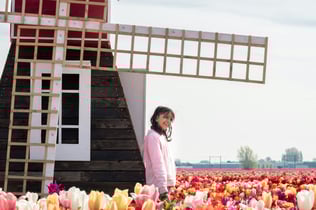 Tulip Experience Amsterdam: Entry Ticket