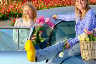 The Tulip Barn: Entry Ticket