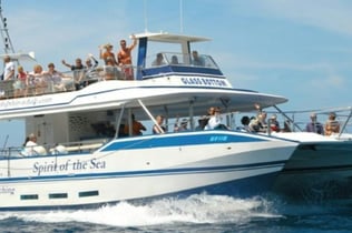 Gran Canaria: Dolphin Watching Tour