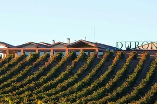 Visit with Wine, Appetizer and Tasting Menu Option in Ribera del Duero