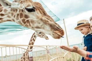 Hellabrunn Zoo: Fast Track Entrance + Roundtrip Transfer from Munich