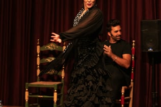 Palau Dalmases: Flamenco Show