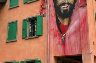 Casa Museo Luciano Pavarotti: Vstupenka