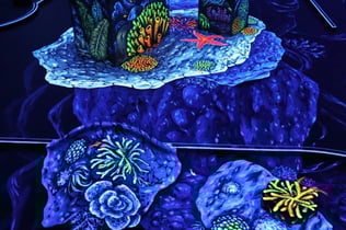 3D 블랙라이트 미니골프 두바이