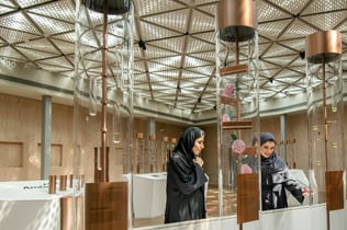 알 신다그하 박물관: 입장권