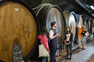 Klosterneuburg Abbey: Wine and Tasting Tour from Vienna by E-Bike
