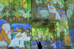 Carrières des Lumières: Entry Ticket