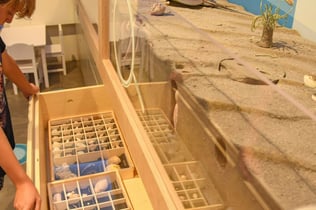 Trieste: Biodiversitario Marino (BioMa)