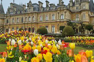 Waddesdon Manor