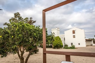 Mas Miró Self-Guided Audio Tour
