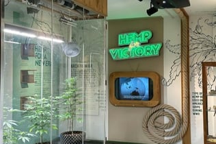 Cannabis Museum Amsterdam: Entry Ticket + Audio Guide