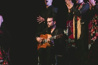 Casa Ana Granada: Traditional Flamenco Show