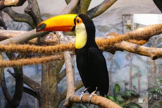 Warsaw Zoo Park with Private Transport