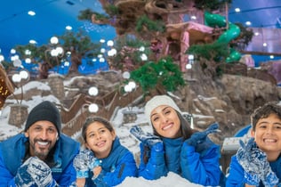 스노우 아부다비: 입장권