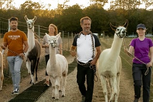 Mödling Vienna: Alpaca & Llama Hiking Tour
