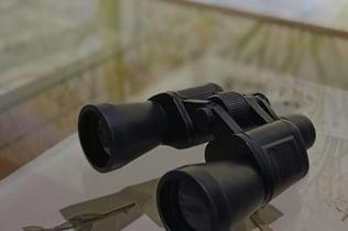 RADICI. Piccolo Museo della Natura: Entry Ticket + Self-Guided Tour
