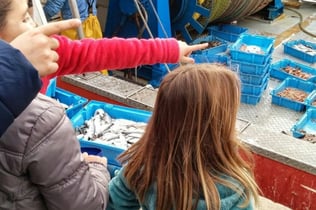 Barcelona Fishermen's Guild: Entry Ticket + Guided Tour