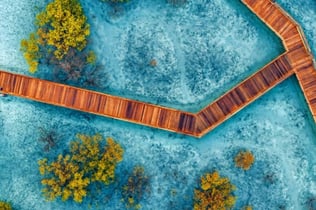 주베일 맹그로브 공원 도보 투어