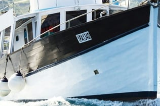 Ischia: Day Cruise with Lunch