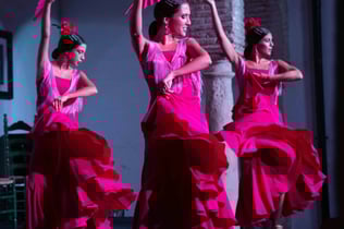 Cordoba: Flamenco Show with Welcome Drink