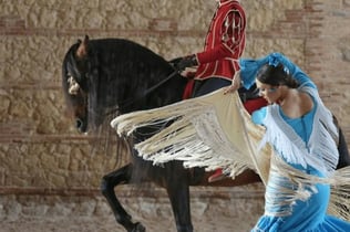 Equestrian Show 'Passion and Spirit of the Andalusian Horse'