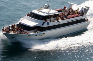 Tremiti Islands from Vieste: Ferry and Boat Tour of the Islands