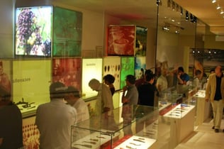 VINSEUM: Μουσείο οινικού πολιτισμού της Καταλονίας