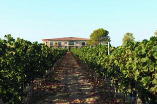 Vi Rei Winery: Guided Tour & Wine Tasting