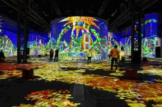 Phoenix des Lumières : Billet d'entrée