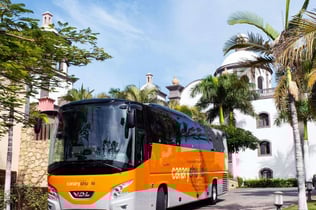Tenerife: Bus Transfer from South Airport to Los Cristianos