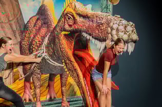 3D TrickArt Museum Berlin: Entry Ticket