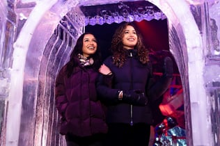 Art Below Zero: Ice Sculptures Exhibition Entry