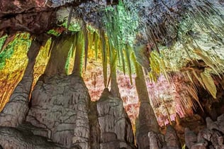 Dinosaurland & Hams' Caves: Combo Ticket