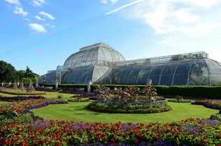 Kew Gardens: Entry Ticket