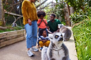 London Zoo: Entry Ticket