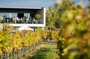 Esterházy Winery Experience