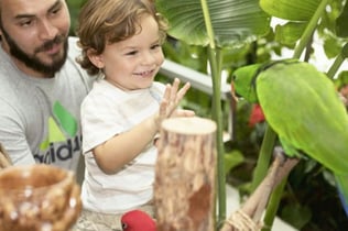 더 그린 플래닛: 우선 입장권