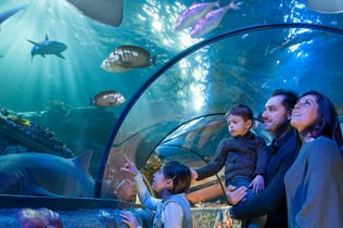 Gardaland SEA LIFE Aquarium: Entry Ticket
