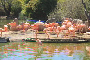 Faunia Nature Park: Skip The Line Ticket