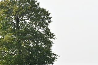 De Hoge Veluwe National Park