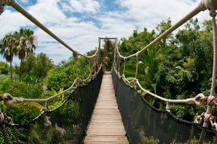 Jungle Park: Entry Ticket