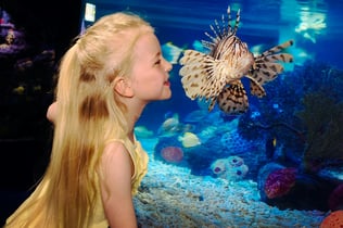 SEA LIFE Scheveningen: Entry Ticket