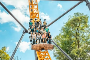 Bobbejaanland: Entrébiljett