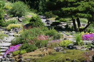 Utrecht University Botanic Gardens: Entry Ticket