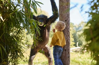 Dierenrijk Zoo