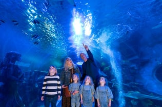 SEA LIFE Birmingham: Entry Ticket