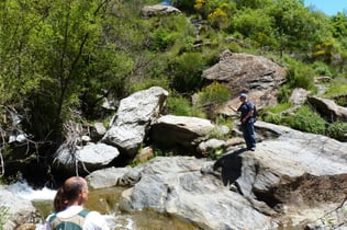 Sierra Nevada: Guided Tour from Granada